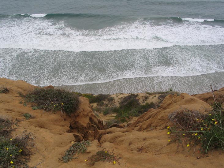 Guy Fleming Trail, Torrey Pines State Reserve, La Jolla, California