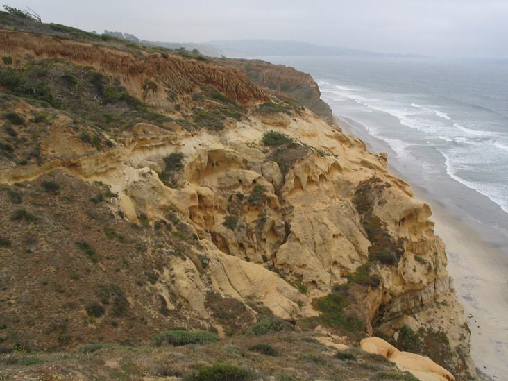 Guy Fleming Trail, Torrey Pines State Reserve, La Jolla, California