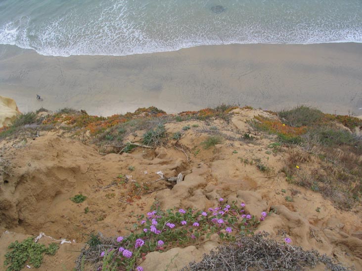 Guy Fleming Trail, Torrey Pines State Reserve, La Jolla, California