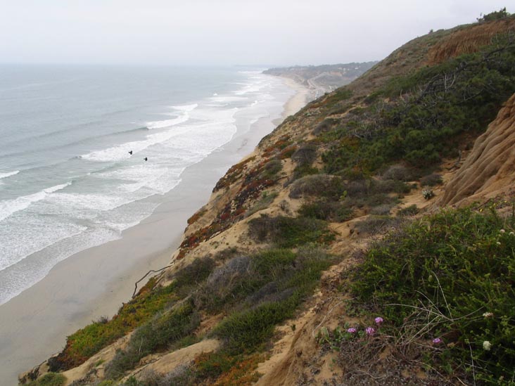 Guy Fleming Trail, Torrey Pines State Reserve, La Jolla, California