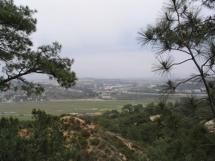 High Point Looking North, Torrey Pines State Reserve, La Jolla, California