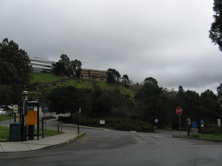 Vista Lot, University of California-Berkeley, Berkeley, California