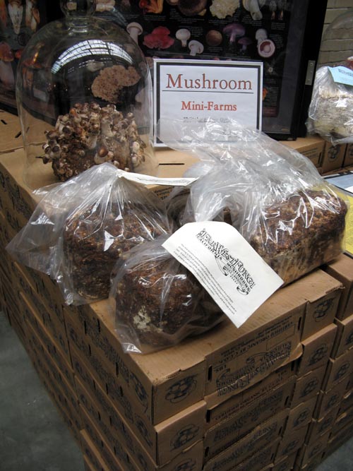 Far West Fungi, Shop 34, Ferry Building Marketplace, San Francisco, California