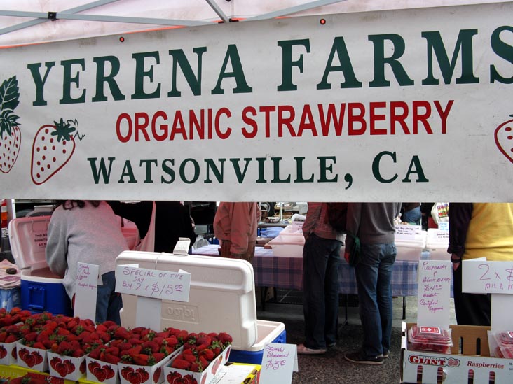 Yerena Farms Strawberries, Ferry Plaza Farmers Market, The Embarcadero, San Francisco, California