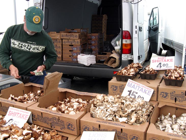 Mushrooms, Ferry Plaza Farmers Market, The Embarcadero, San Francisco, California