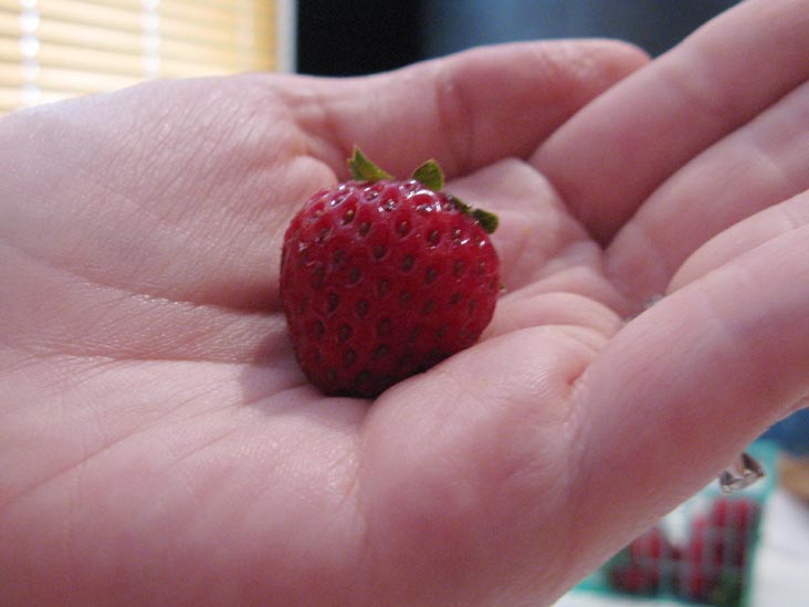 Strawberry From Yerena Farms Strawberries, Ferry Plaza Farmers Market, The Embarcadero, San Francisco, California