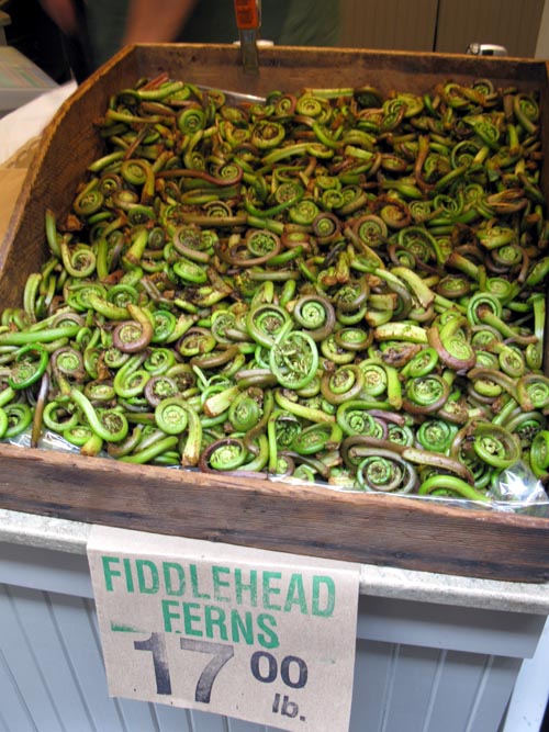 Fiddlehead Ferns, Far West Fungi, Shop 34, Ferry Building Marketplace, San Francisco, California, March 6, 2010
