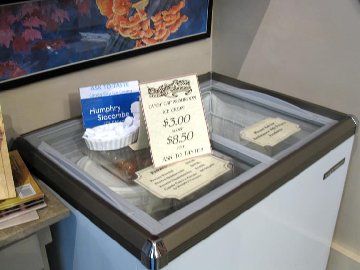 Humphry Slocombe Candy Cap Mushroom Ice Cream, Far West Fungi, Shop 34, Ferry Building Marketplace, San Francisco, California, March 6, 2010