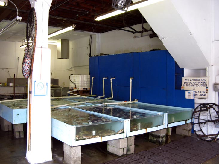 Alioto-Lazio Fish Company, 440 Jefferson Street, Fisherman's Wharf, San Francisco, California