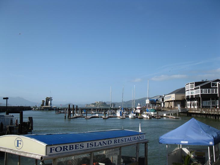 Sea Lions, Pier 39, Fisherman's Wharf, San Francisco, California, March 7, 2010