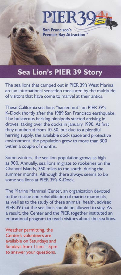 Sea Lion Brochure, Pier 39, Fisherman's Wharf, San Francisco, California
