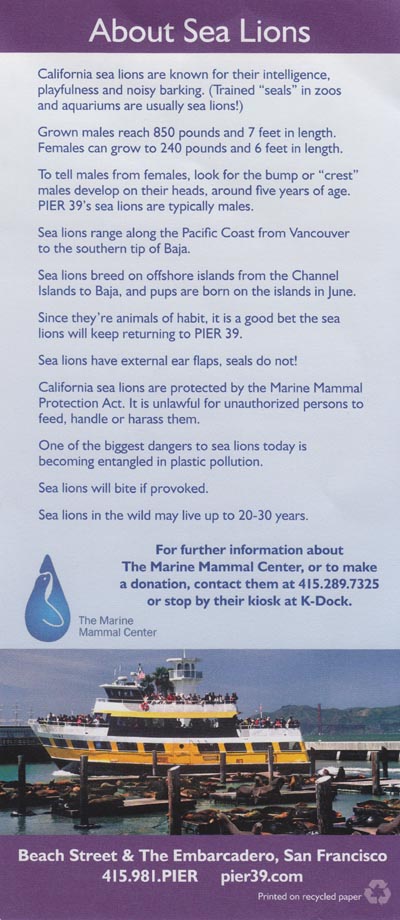 Sea Lion Brochure, Pier 39, Fisherman's Wharf, San Francisco, California