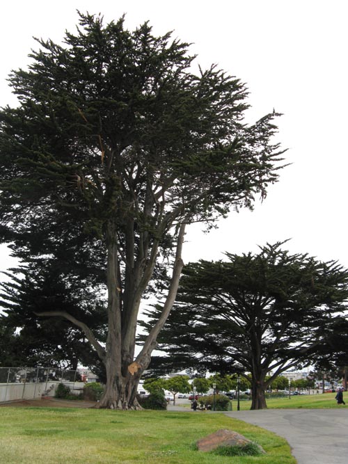Victorian Park, San Francisco Maritime National Historical Park, Fisherman's Wharf, San Francisco, California