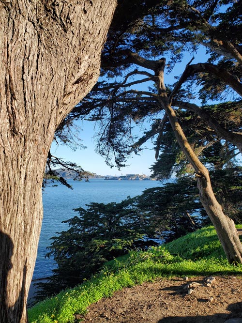 Alcatraz Island From MacDowell Road, Fort Mason, San Francisco, California, February 21, 2022