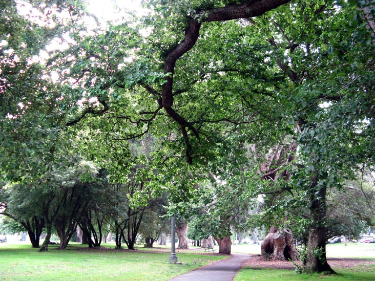 The Panhandle, Haight-Ashbury, San Francisco, California