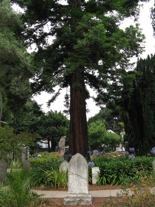 Cemetery, Mission Dolores, 3321 16th Street, Mission District, San Francisco, California