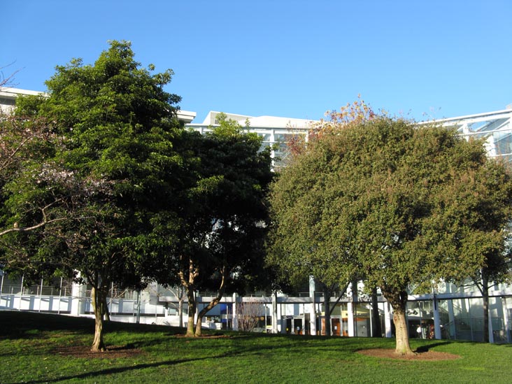 Esplanade, Yerba Buena Gardens, SoMa, San Francisco, California