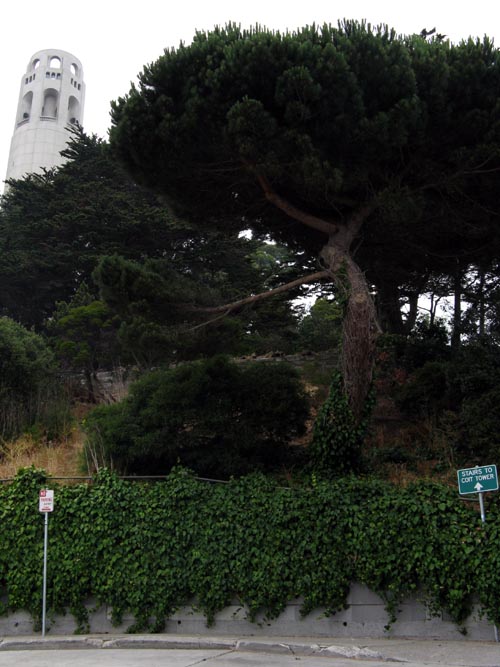 Coit Tower, Pioneer Park From End of Filbert Street, Telegraph Hill, San Francisco, California, June 28, 2008