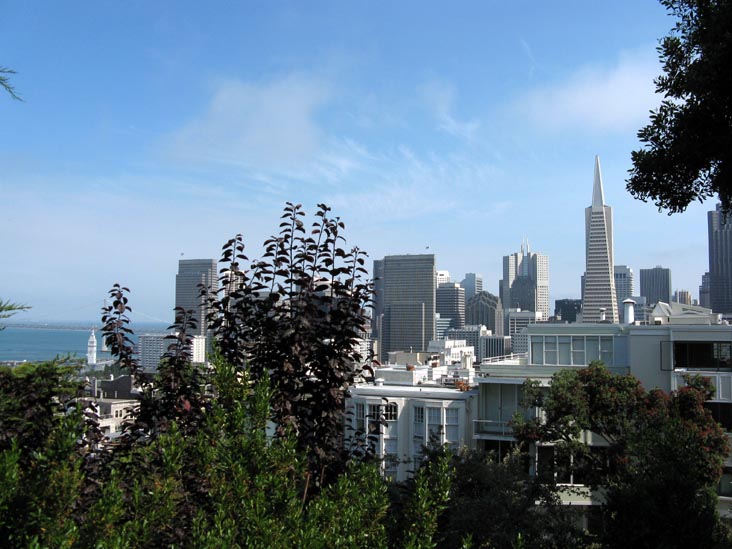 San Francisco Skyline From Pioneer Park, Telegraph Hill, San Francisco, California, June 29, 2008