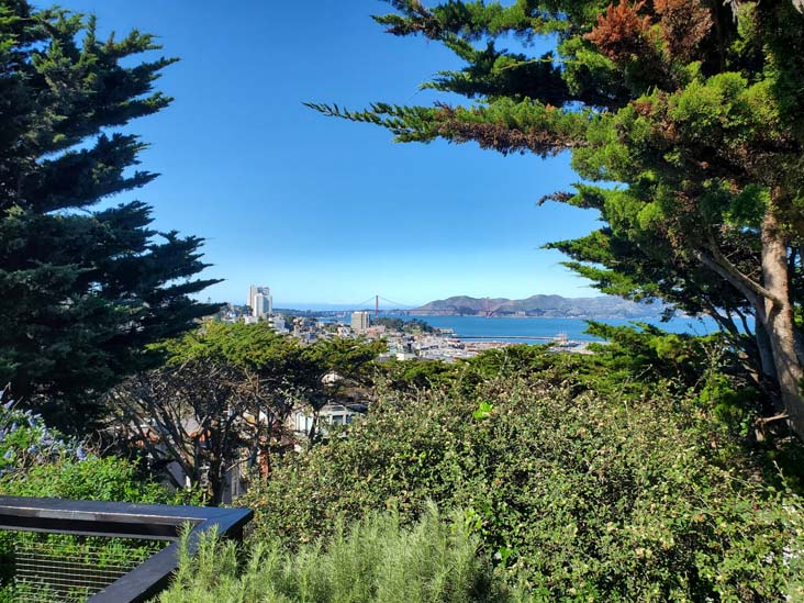 View From Coit Tower, Pioneer Park, Telegraph Hill, San Francisco, California, February 21, 2022