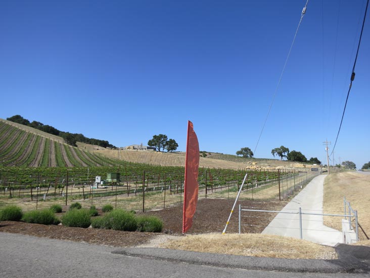 Niner Wine Estates, 2400 Highway 46 West, Paso Robles, California
