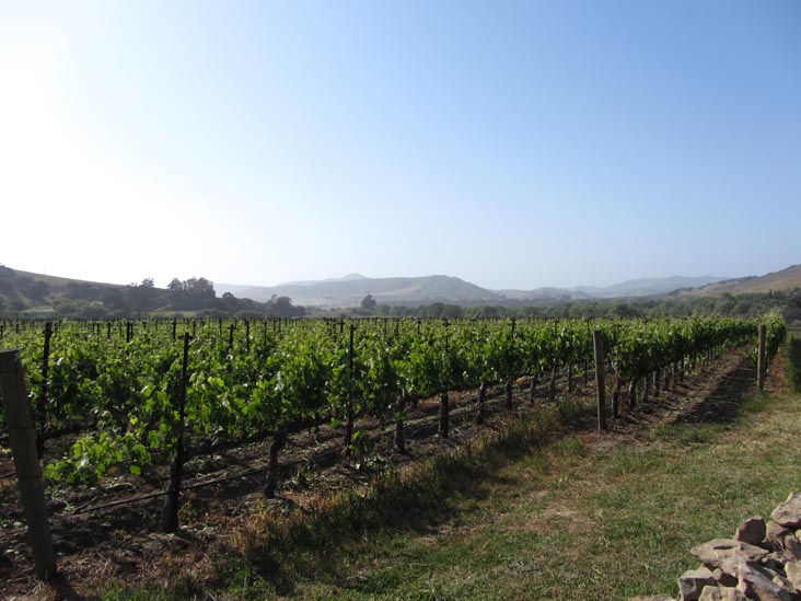 Lafond Winery, 6855 Santa Rosa Road, Buellton, California