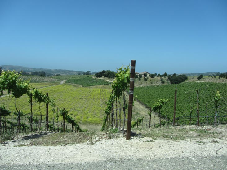 Babcock Winery, 5175 East Highway 246, Lompoc, California