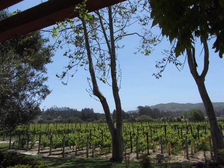 Melville Vineyards & Winery, 5185 East Highway 246, Lompoc, California