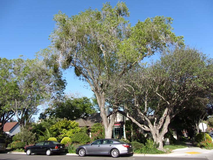 First Street and Oak Street, Solvang, California