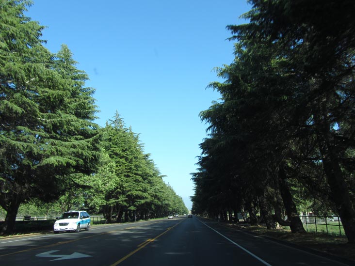 Highway 246 Between Buellton and Solvang, California