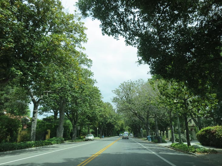 University Avenue, Palo Alto, California, May 14, 2012