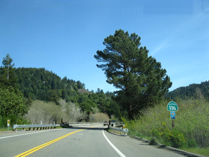 California State Route 116 Between Duncans Mills and Monte Rio, Sonoma County, California