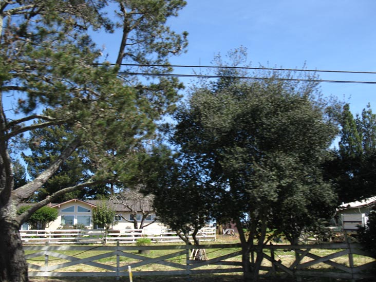 California State Route 116 Near Sebastopol, Sonoma County, California