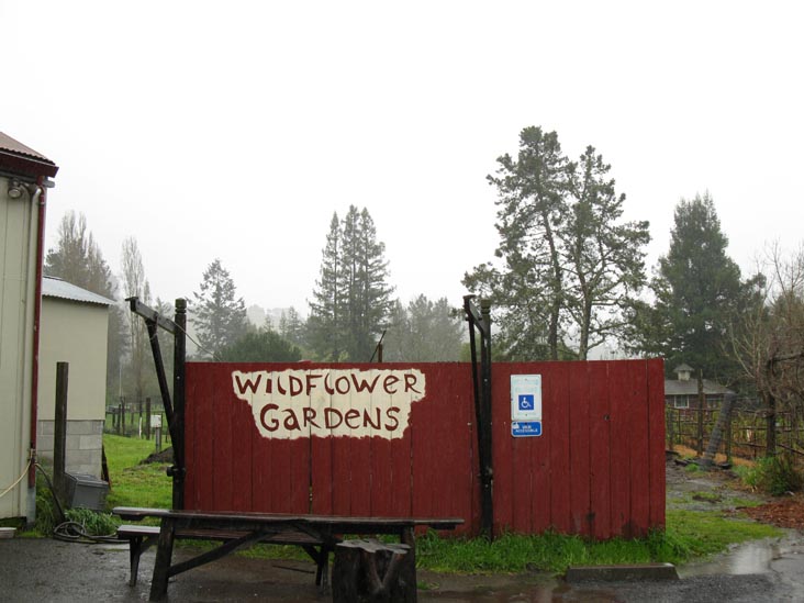 Wild Flour Bread, 140 Bohemian Highway, Freestone, California