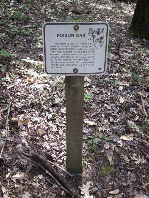 Poison Oak Warning, Jack London State Historic Park, Glen Ellen, California