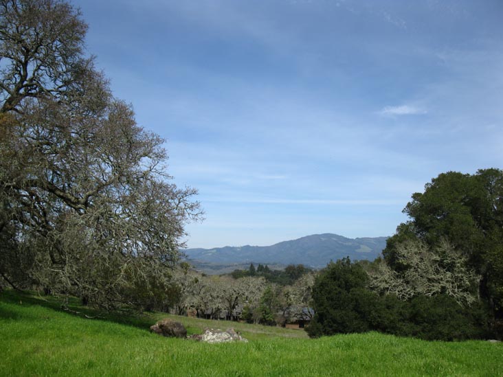 View From Model Farm, Jack London State Historic Park, Glen Ellen, California