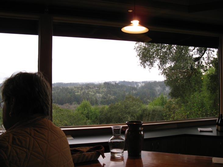 Gary Farrell Vineyards & Winery, 10701 Westside Road, Healdsburg, California