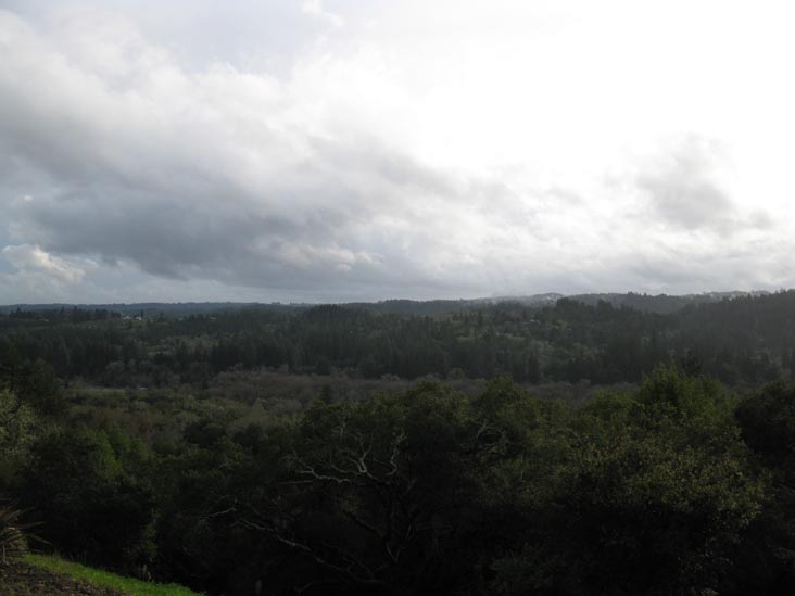 Gary Farrell Vineyards & Winery, 10701 Westside Road, Healdsburg, California