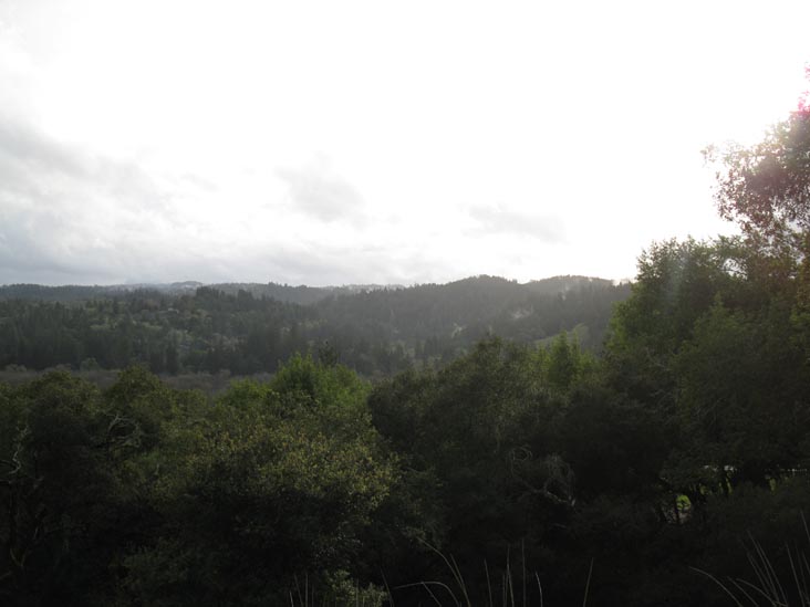 Gary Farrell Vineyards & Winery, 10701 Westside Road, Healdsburg, California