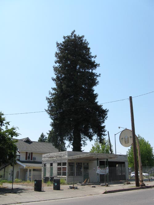 185 Healdsburg Avenue, Healdsburg, California, July 1, 2008