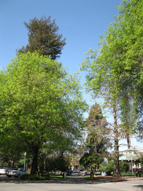 Healdsburg Plaza, Healdsburg, California