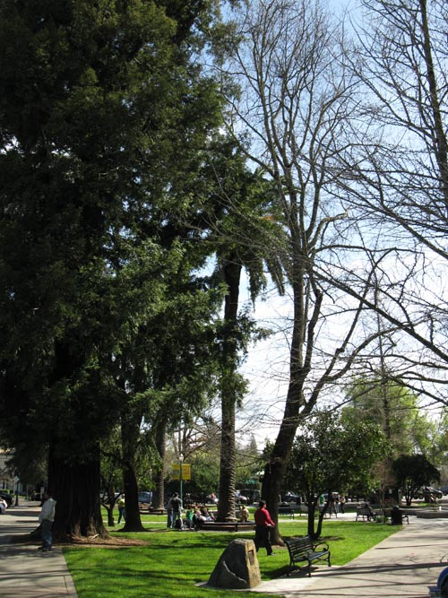 Harmon Gregg Heald Marker, Healdsburg Plaza, Healdsburg, California