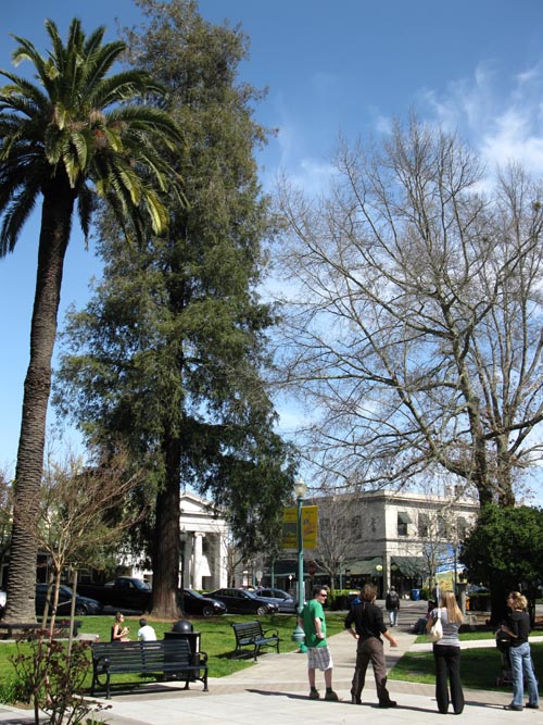 Healdsburg Plaza, Healdsburg, California
