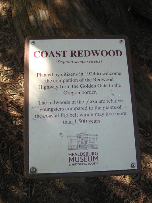 Coast Redwood Marker, Healdsburg Plaza, Healdsburg, California