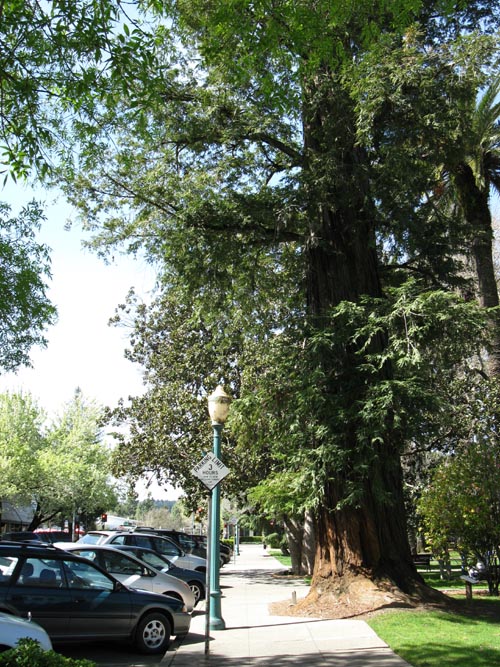 Healdsburg Plaza, Healdsburg, California