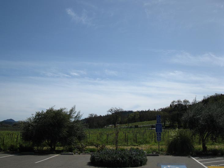 Quivira Vineyards & Winery, 4900 West Dry Creek Road, Healdsburg, California
