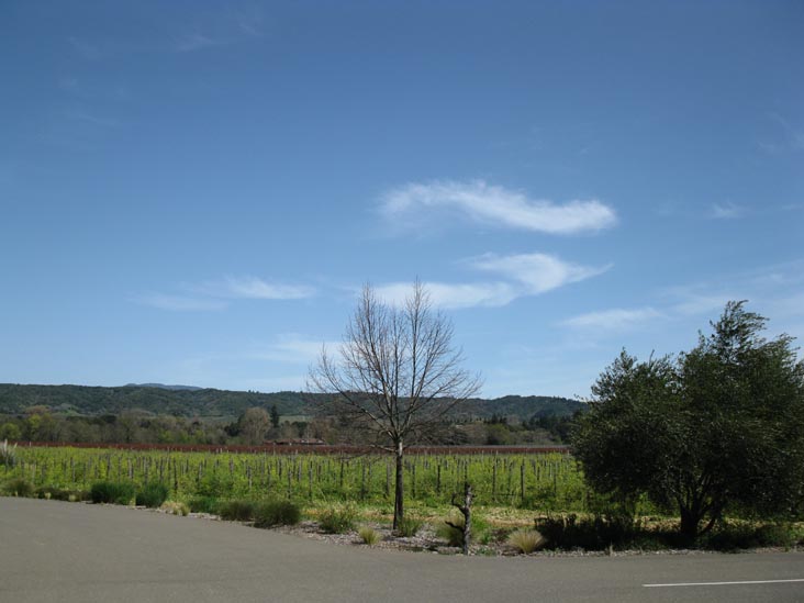 Quivira Vineyards & Winery, 4900 West Dry Creek Road, Healdsburg, California
