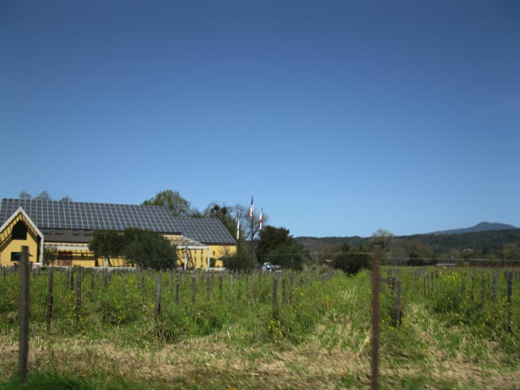 Quivira Vineyards & Winery, 4900 West Dry Creek Road, Healdsburg, California
