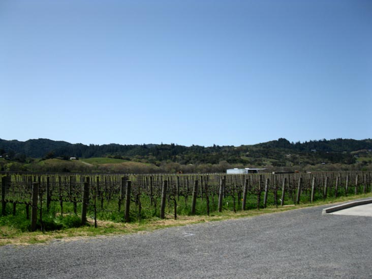 Unti Vineyards, 4202 Dry Creek Road, Healdsburg, California