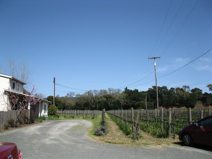 Unti Vineyards, 4202 Dry Creek Road, Healdsburg, California